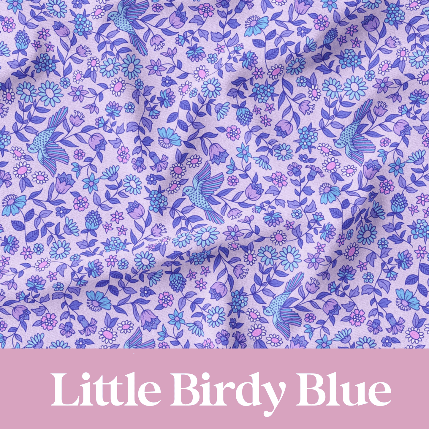 Little Birdy Blue