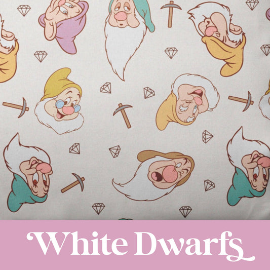 White Dwarfs