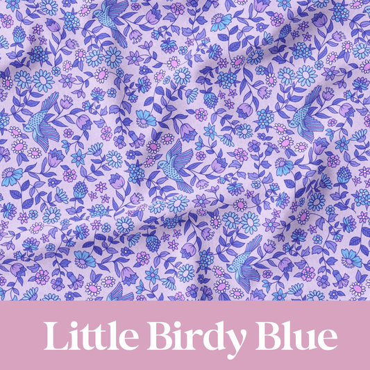 Little Birdy Blue